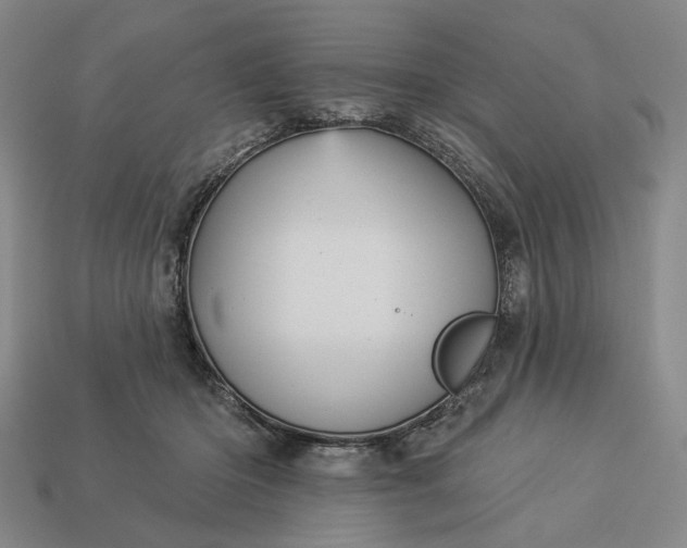 X0000112960414200909101636