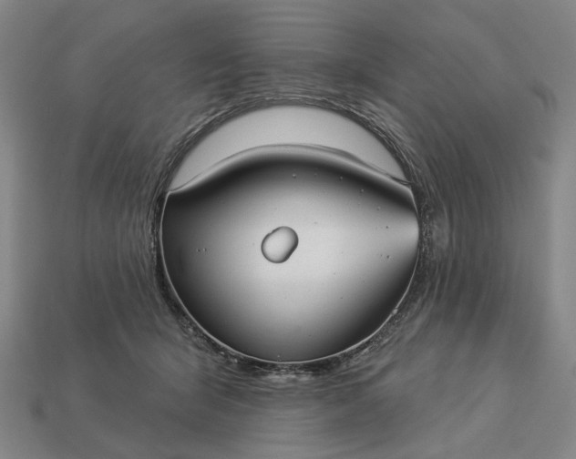 X0000112960415200909101636