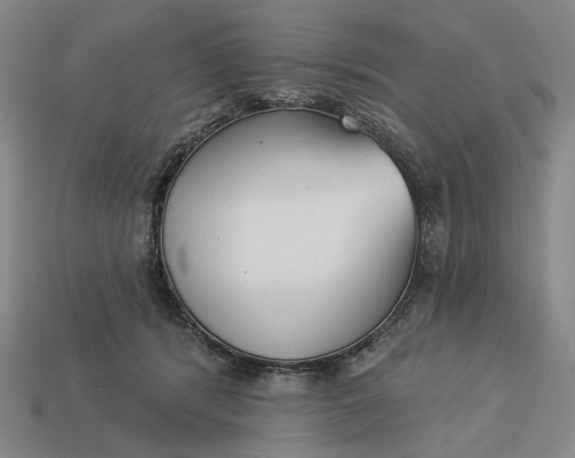 X0000112960416200909101636