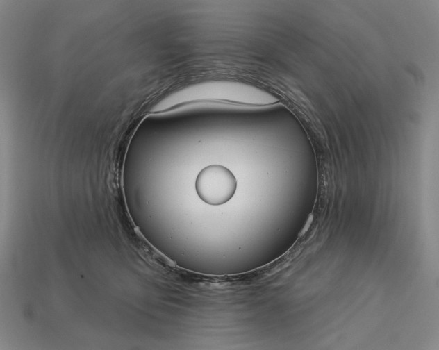 X0000112960419200909101636