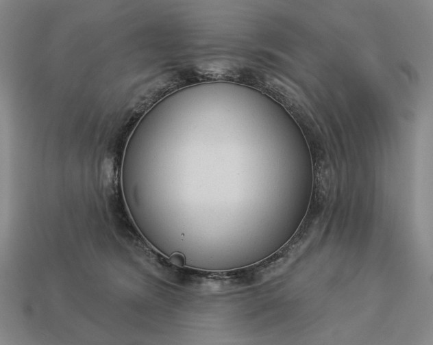 X0000112960420200909101636