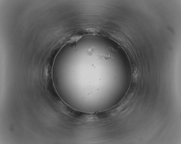 X0000112960424200909101636