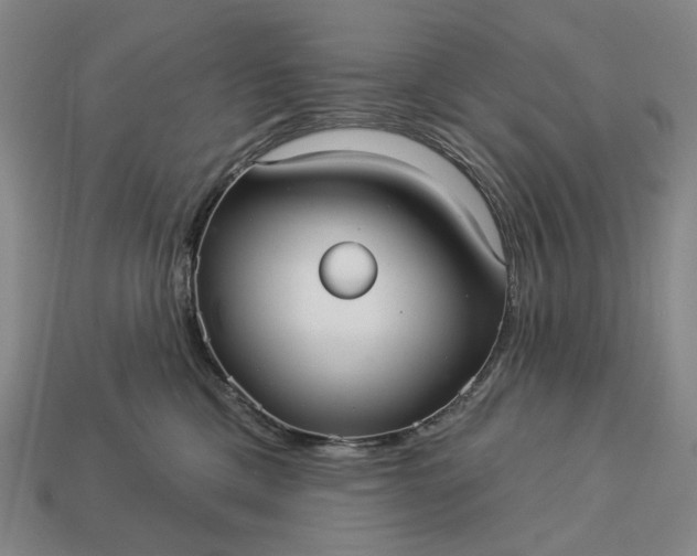 X0000112960425200909101636