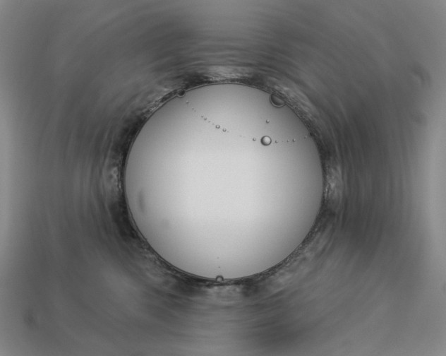 X0000112960426200909101636