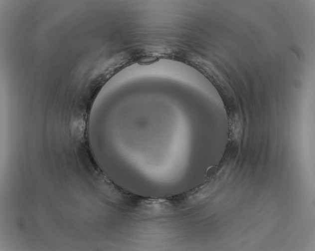 X0000112960427200909101636