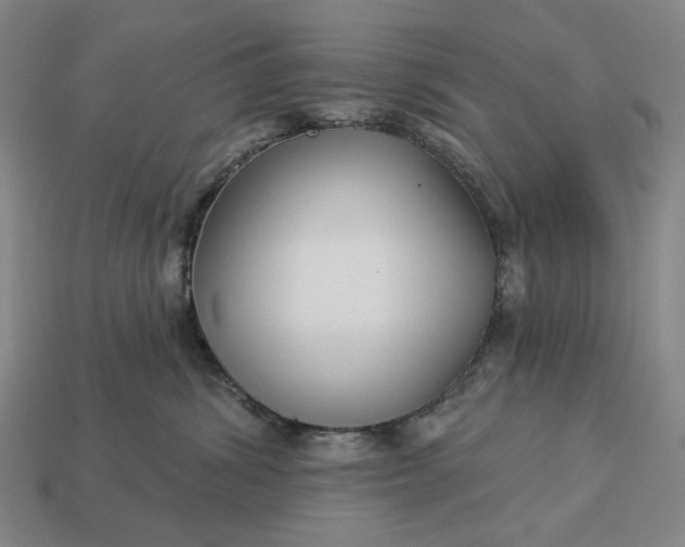 X0000112960428200909101636