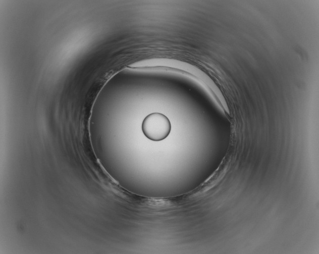 X0000112960429200909101636