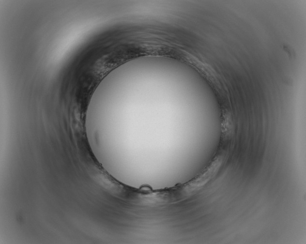 X0000112960430200909101636