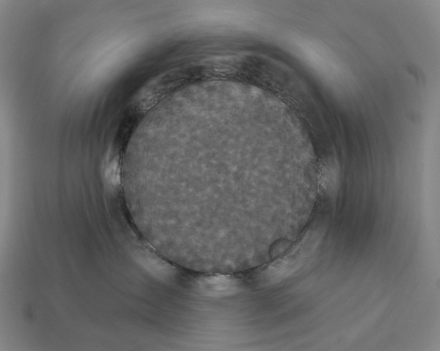 X0000112960431200909101636