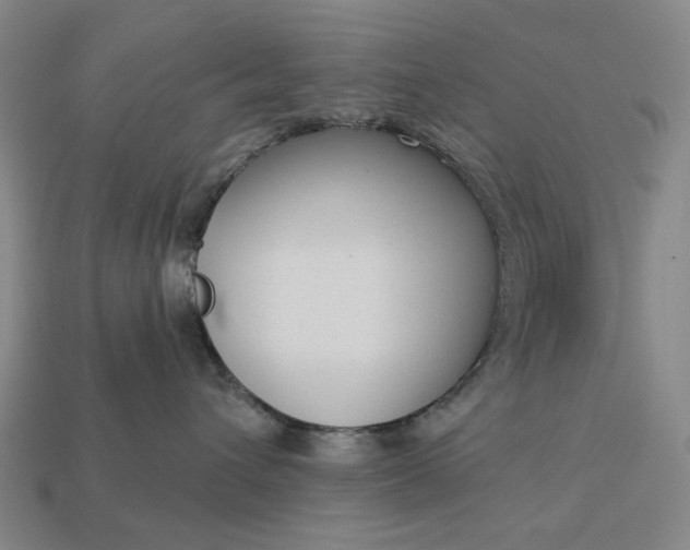 X0000112960432200909101636