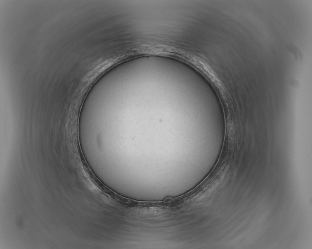 X0000112960433200909101635