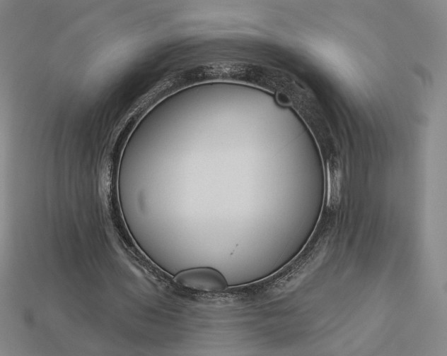 X0000112960435200909101635