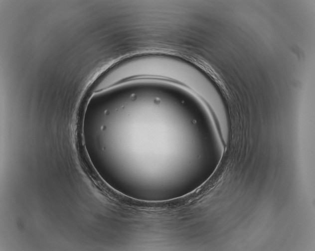 X0000112960436200909101635