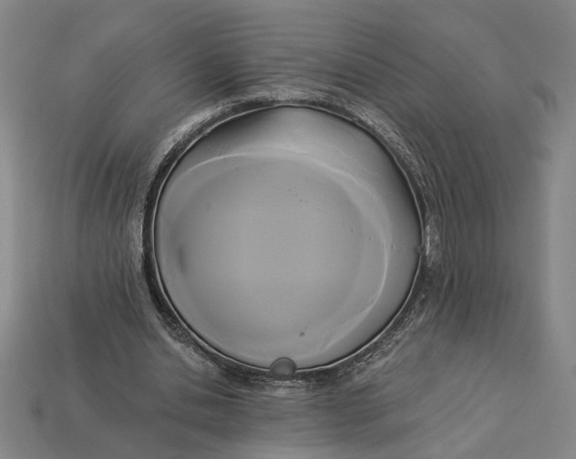 X0000112960438200909101635