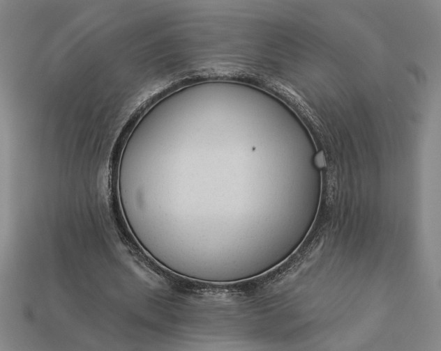 X0000112960439200909101636