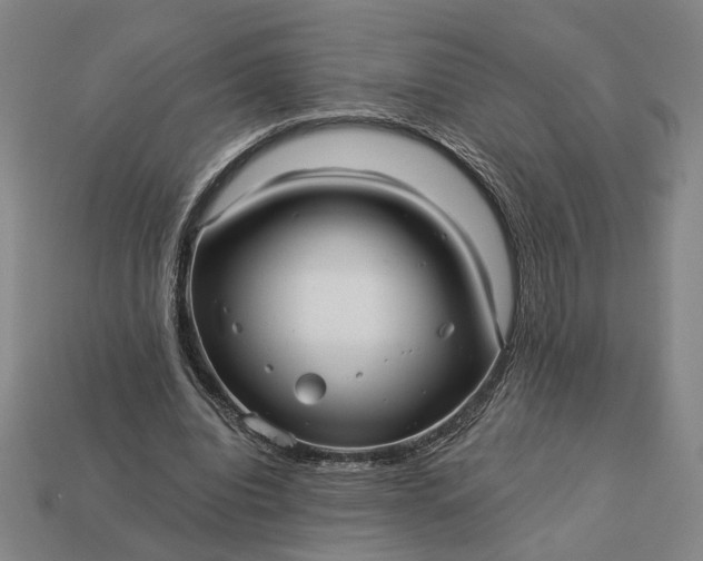 X0000112960440200909101636