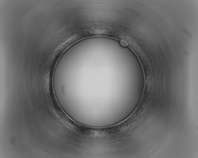 X0000112960442200909101636