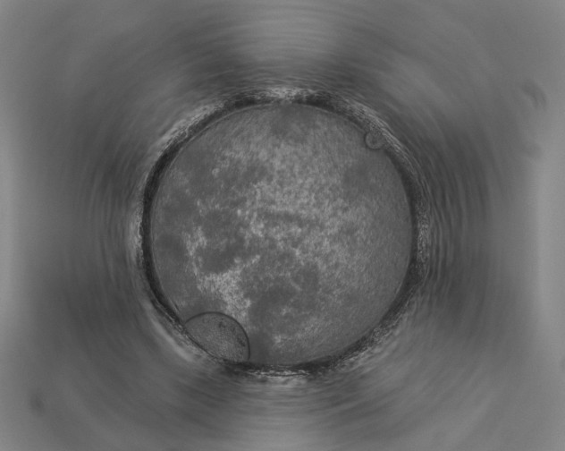 X0000112960443200909101636