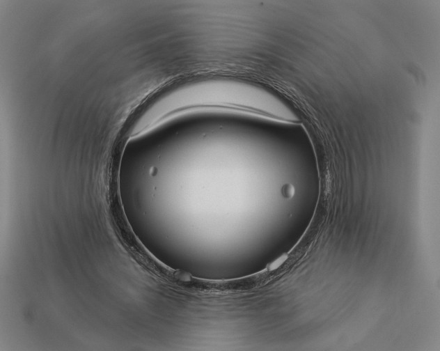 X0000112960444200909101636