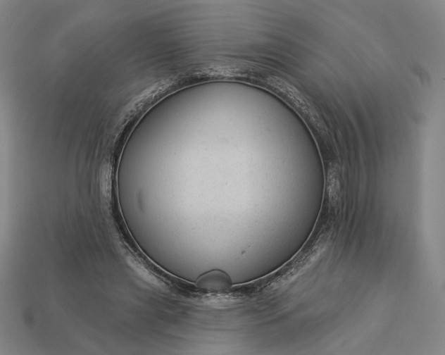 X0000112960445200909101636