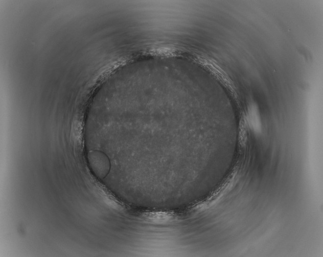 X0000112960449200909101636