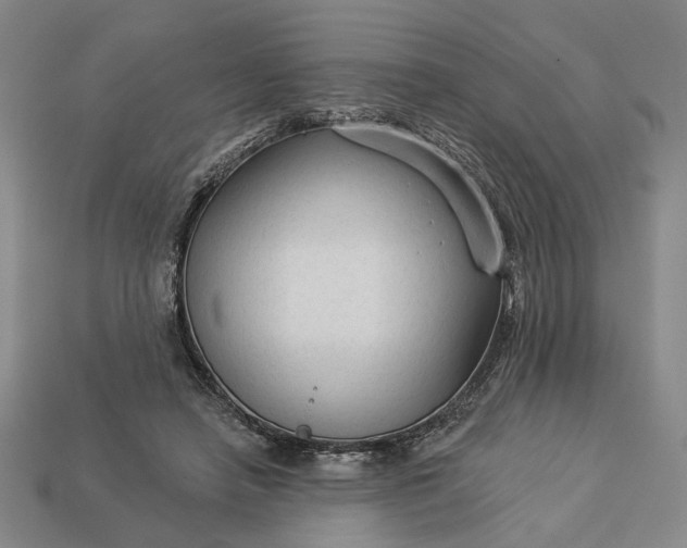 X0000112960450200909101636