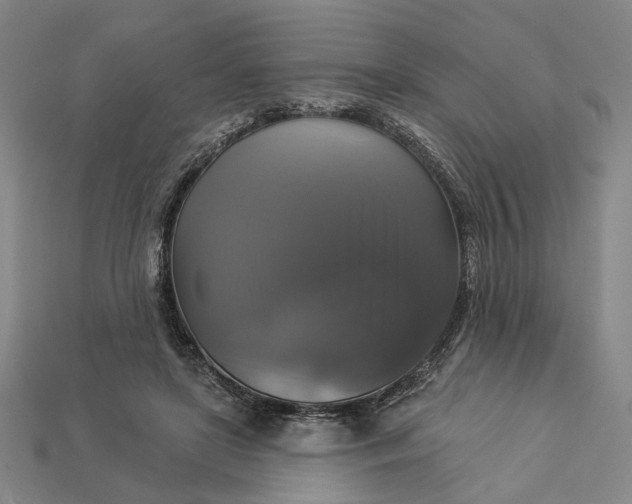 X0000112960451200909101636