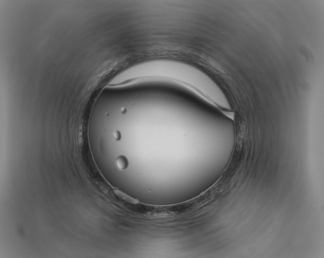 X0000112960452200909101636