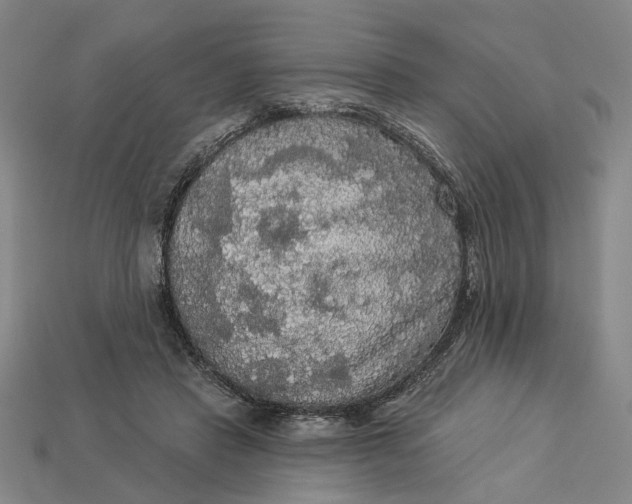 X0000112960453200909101636