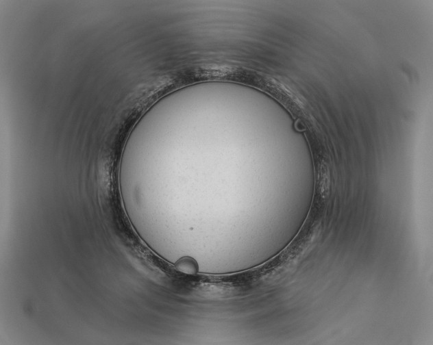 X0000112960455200909101636