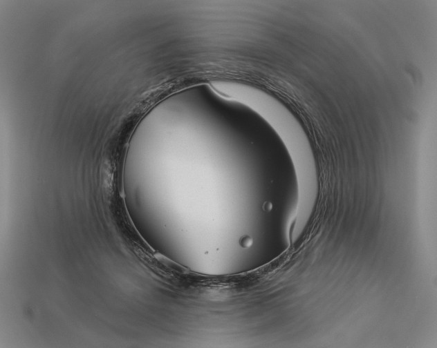 X0000112960456200909101636