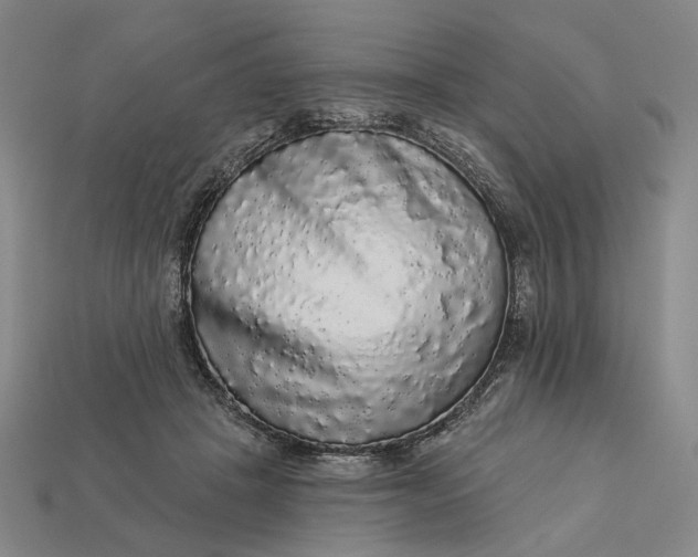 X0000112960457200909101636