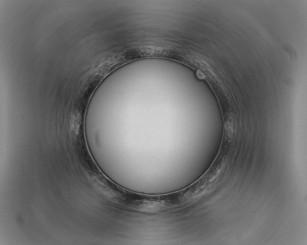 X0000112960458200909101636