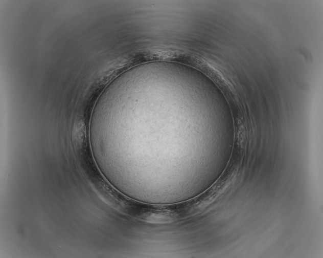 X0000112960459200909101636