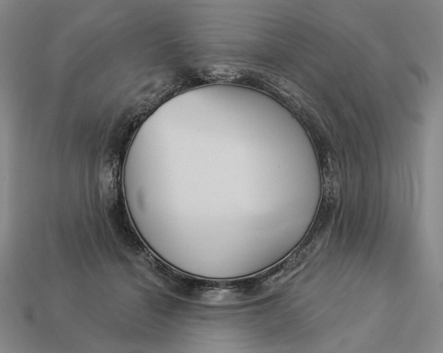 X0000112960460200909101636