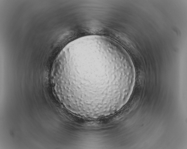 X0000112960461200909101636