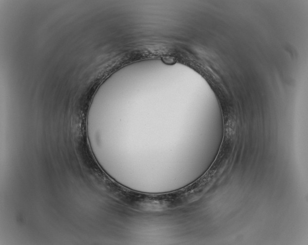 X0000112960464200909101636