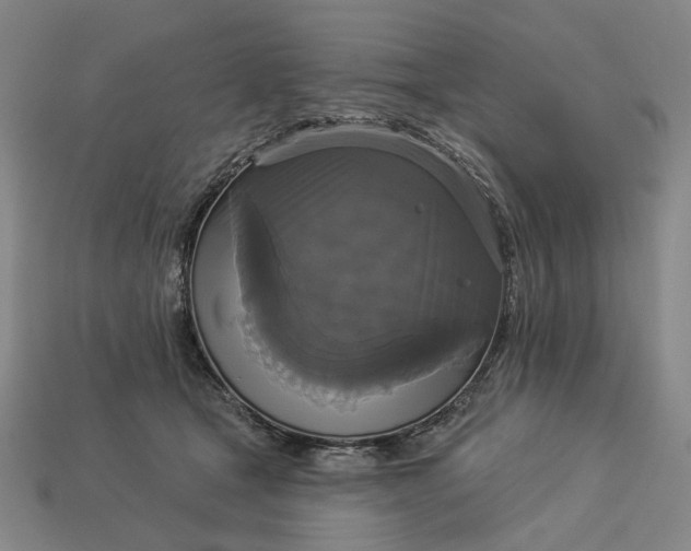 X0000112960465200909101636