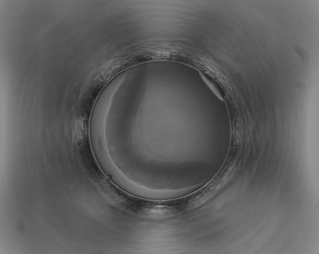 X0000112960467200909101636