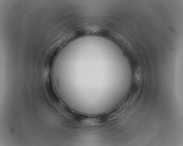 X0000112960468200909101636