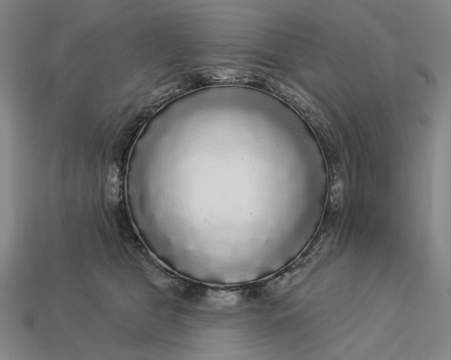 X0000112960469200909101636