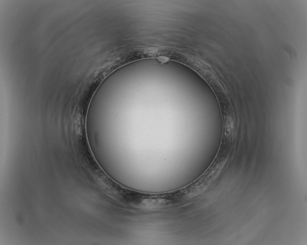 X0000112960470200909101636