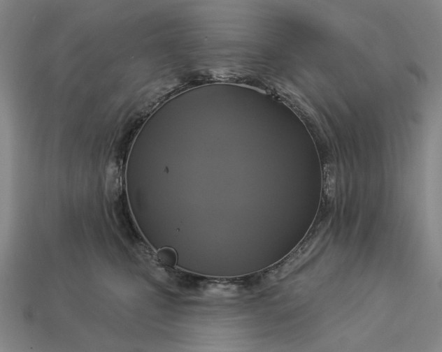 X0000112960471200909101636