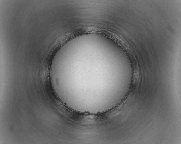 X0000112960473200909101636