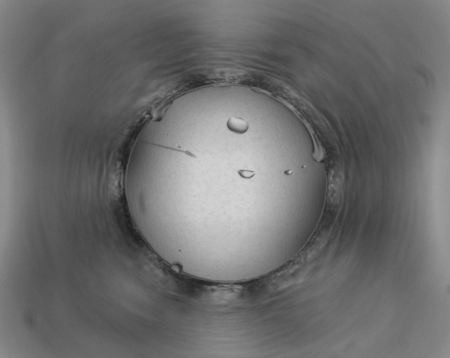 X0000112960474200909101636