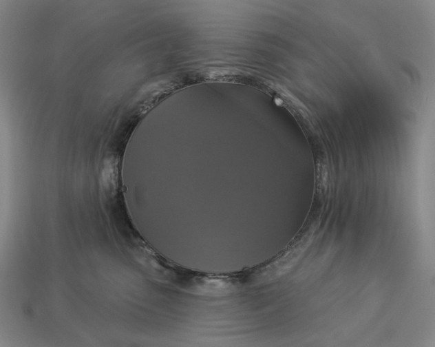 X0000112960475200909101636