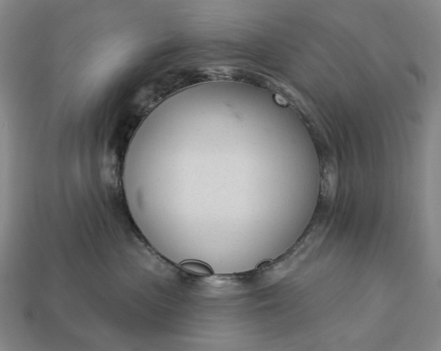 X0000112960477200909101636