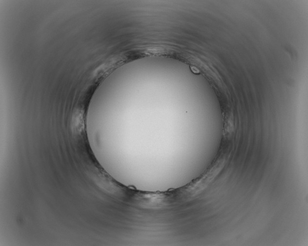 X0000112960478200909101636