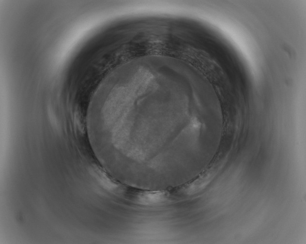 X0000112960479200909101636