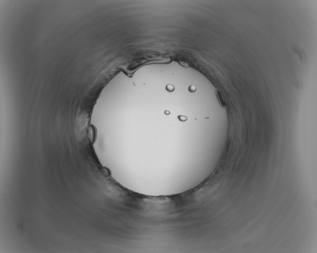 X0000112960480200909101636